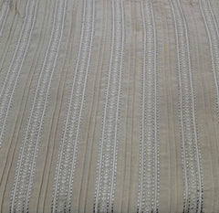 Beige Striped Thread and Zari Slub Silk Embroidery