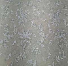 Beige Tissue Applique Work Mul Chanderi Embroidery