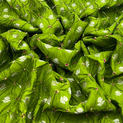 Forest Green Bandhani Zari Butti Chinia Silk