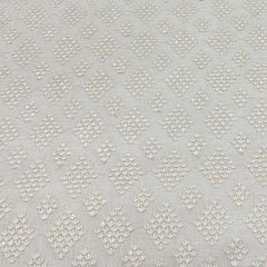 Cream Self Diamond Slub Silk Embroidery