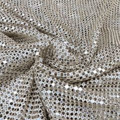 Champagne Gold Mirror Cutwork Net Embroidery