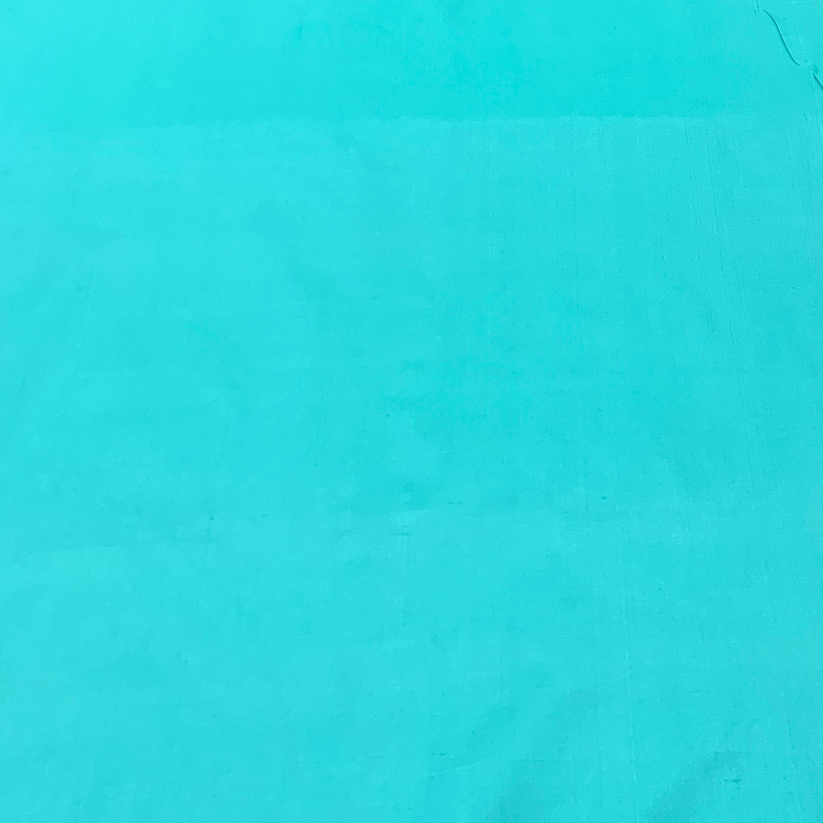 Sea Green Plain Pure Silk Fabric