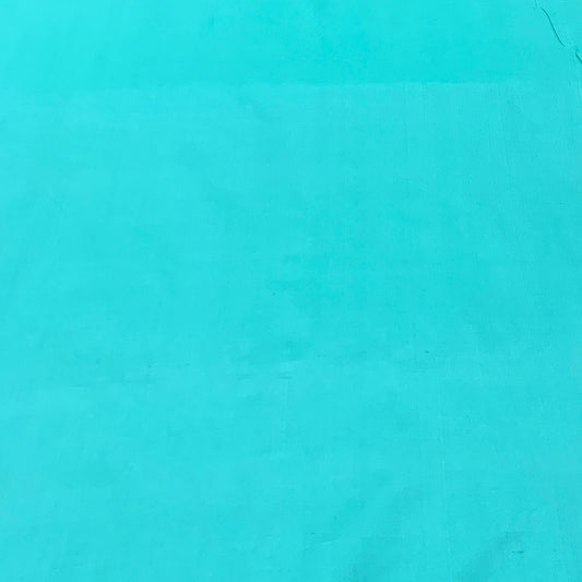 Sea Green Plain Pure Silk Fabric