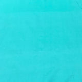 Sea Green Plain Pure Silk Fabric