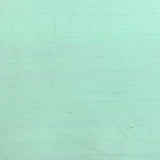 Pista Green Plain Raw Silk Fabric