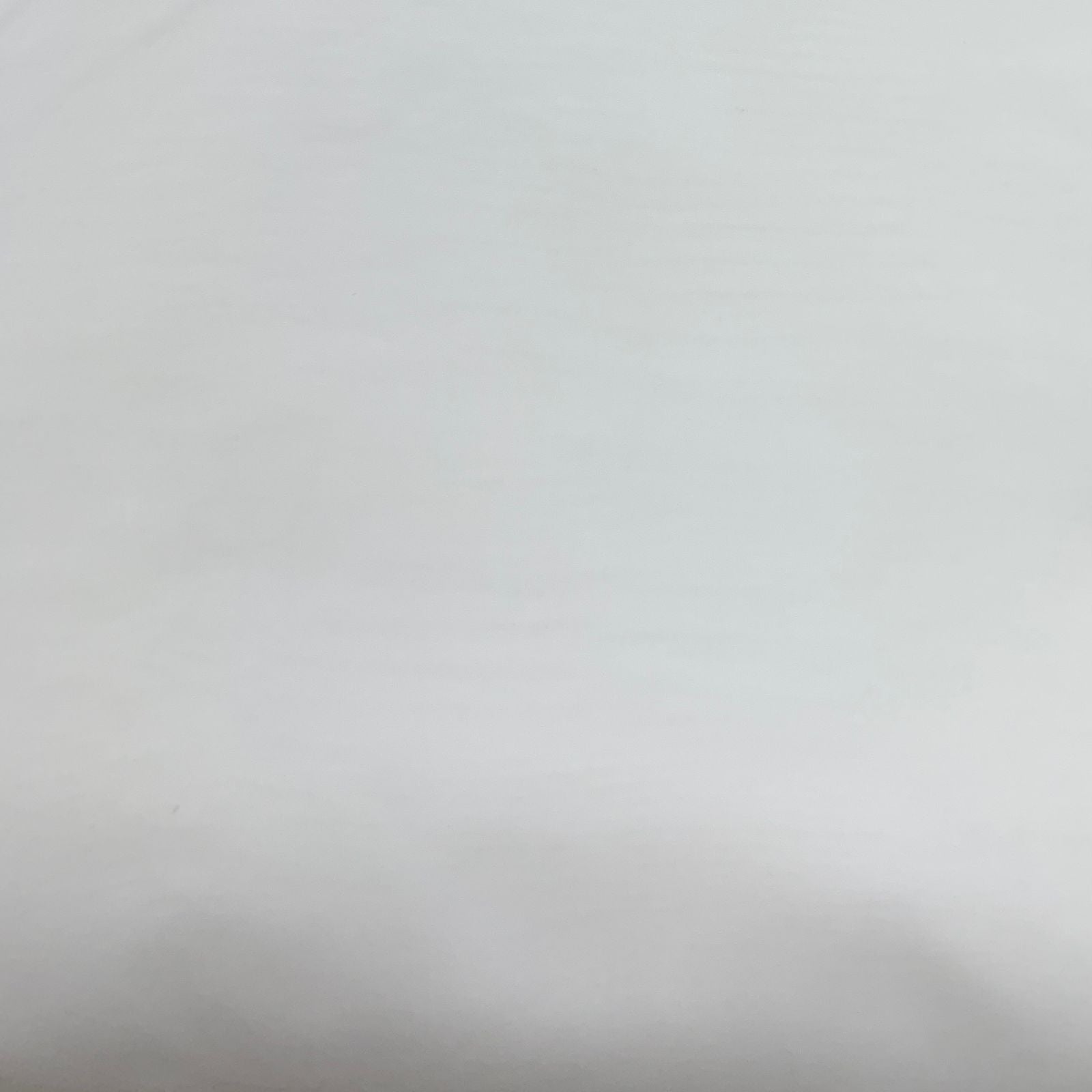 Viscose Nylon Organza Dyeable